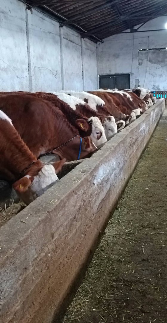 ✅2️⃣8️⃣ ADET BİRBİRİNDEN KALİTELİ